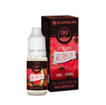 E-liquid Pastèque